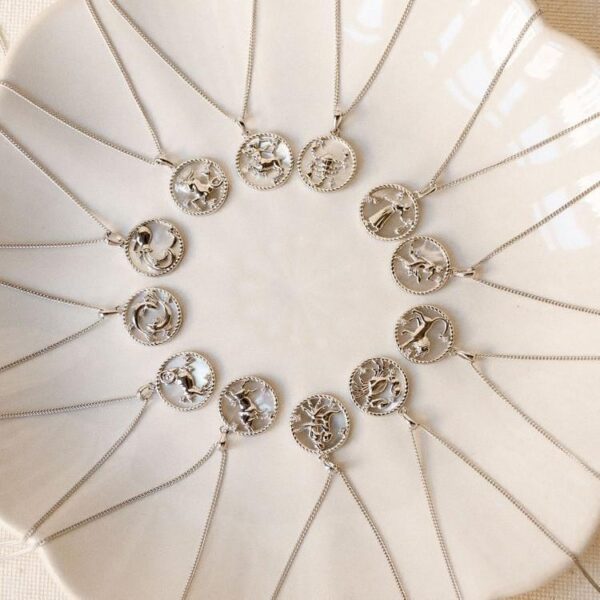 Round Coin 12 Constellation Zircon Necklace - Image 5