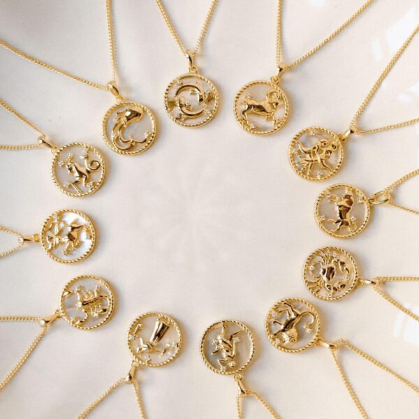 Round Coin 12 Constellation Zircon Necklace - Image 10