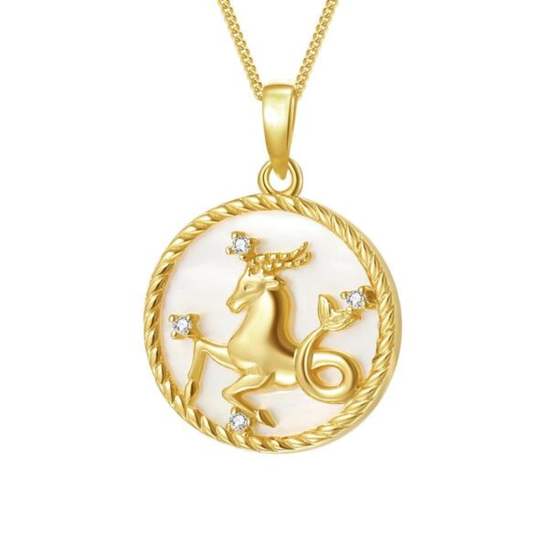 Round Coin 12 Constellation Zircon Necklace - Image 4