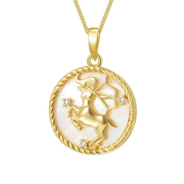 Round Coin 12 Constellation Zircon Necklace - Image 6