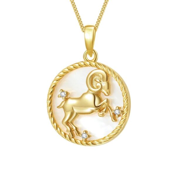 Round Coin 12 Constellation Zircon Necklace - Image 8